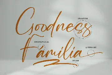 Amalynta Modern Script Font