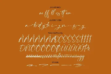 Amalynta Modern Script Font