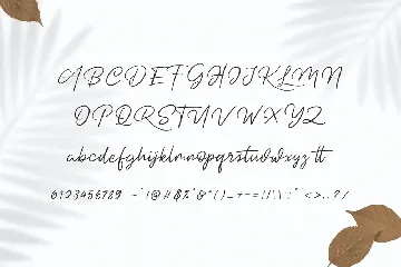 Dotyville Script Font