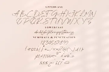 Stevenson Signature Script Font