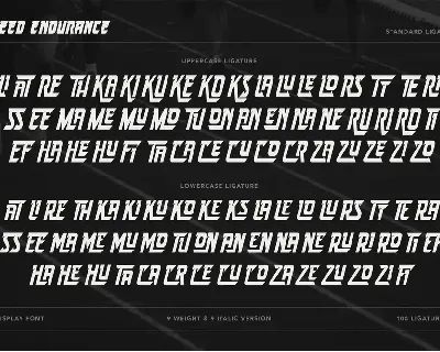 Speed Endurance font