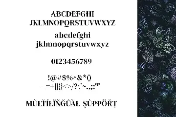 Amore - Serif Font