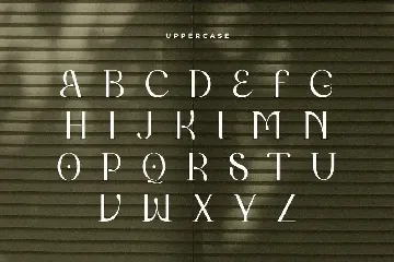 Balfira - Elegant Display Font