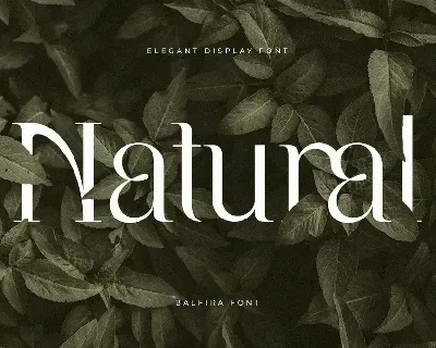 Balfira - Elegant Display Font