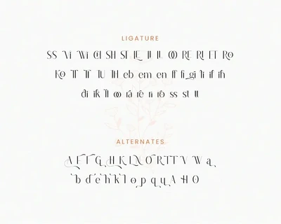 Astella Sans Serif Font