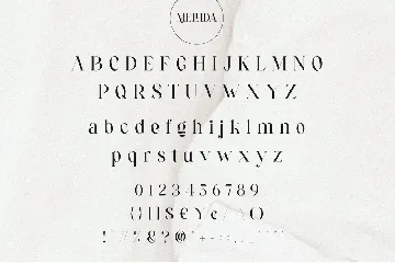 Mellida || Modern Serif Font