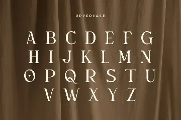 Gemini - Unique Playful Serif font
