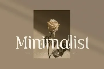 Gemini - Unique Playful Serif font