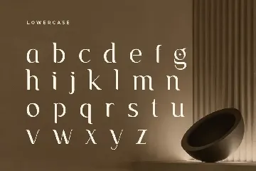 Gemini - Unique Playful Serif font