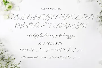 Glofester Menditas Luxury Calligraphy Font