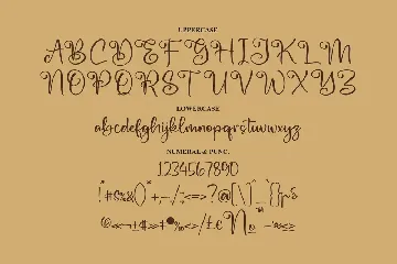 Salminda Script Font