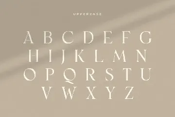 Monik - Elegant Classy Font