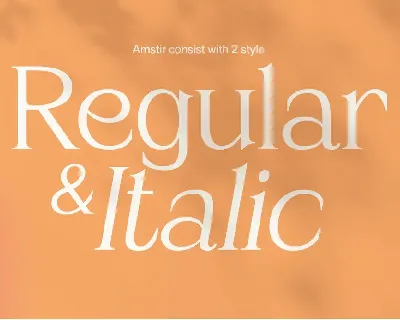 Amstir - Classic Serif Typeface font