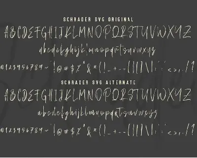 Schrader SVG Brush Font