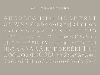 Chilia - Stylish Serif font