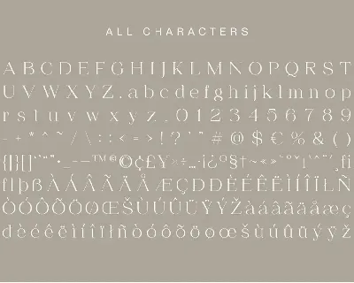 Chilia - Stylish Serif font