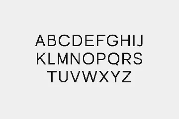 Galvanizer Sans Serif Display Family Font