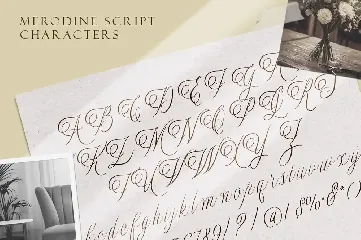 Merodine Script font