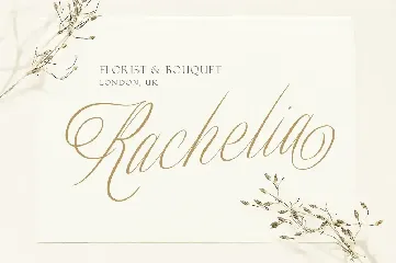 Merodine Script font