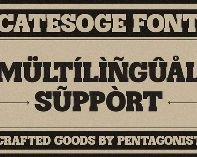 Catesoge | Retro Slab font