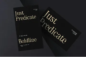 Asthetic - Nostalgic Serif font