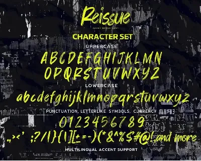 Reissue - Rough brush font