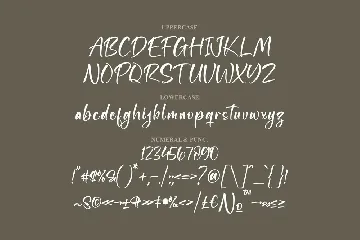 Meglaryna Script Font