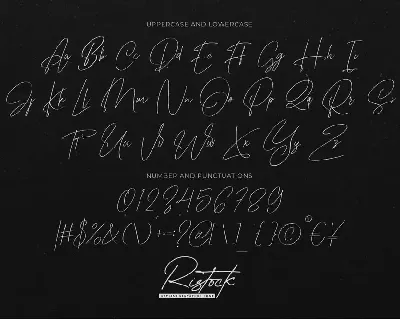 Ristock - Stylish Signature Script font