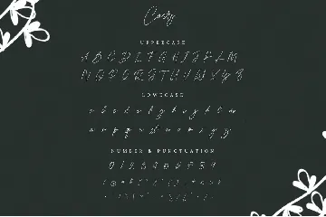 Carry | Modern Signature Font