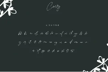 Carry | Modern Signature Font