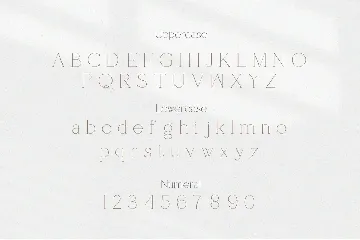 Shoogie Modern Serif Font