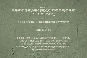Christopher Wells - Elegant Serif Font