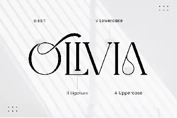 Viora Classy Serif Font