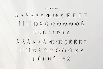 Viora Classy Serif Font