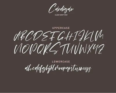 Cardigan font