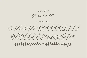 Amelistta Rooshery Bold Script Font