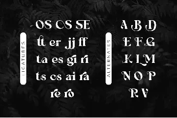 Novaria Serif  Font