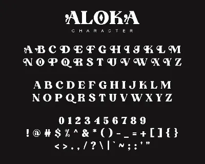 Aloka - Serif Fonts