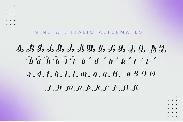 Ninetail Serif Font