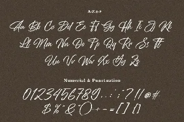 Antaresia - Elegant Signature Font