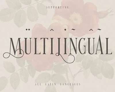 Valentine Vintage Font