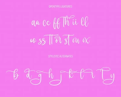 Cleverest Script Font