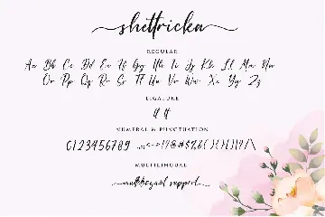 Shettricka - Modern Calligraphy font
