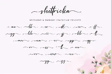 Shettricka - Modern Calligraphy font