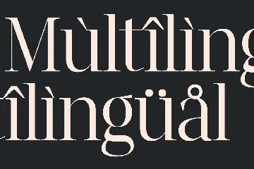 Fangira Unique Serif Font