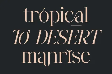 Fangira Unique Serif Font