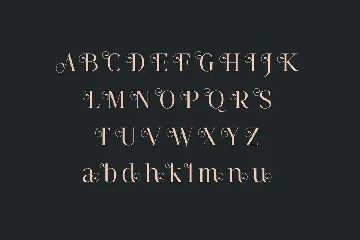 Fangira Unique Serif Font