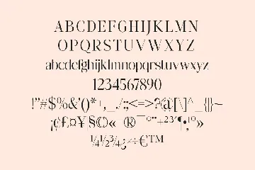 Fangira Unique Serif Font