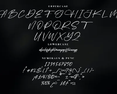 Falernola Modern Handwritten Font