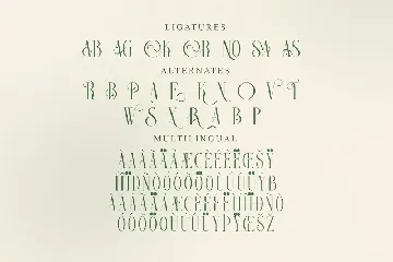 Georgiano Serif Type Face font